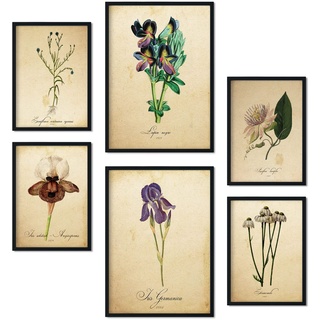 Nacnic-Set von 6 Vintage-Blumen-Poster. Sammlung von Platten mit ästhetischer Collage für Innendekoration. Größen A3 und A4. Mit schwarzem Rahmen.