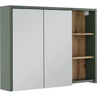 Vicco Viola 100 cm Grün