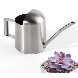 OFKPO Modernen Stil Edelstahl Mini Gießkanne,Gartengeräte Größe Für Pflanzen Auf Dem Tisch