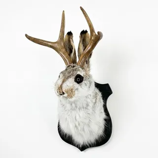 Wolpertinger Wandobjekt mit Kunstfell, Mystische Jackalope Skulptur aus Harz für Kuriositätenkabinett, Wohnzimmer oder Gothic Deko,1 Pack