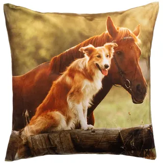 Brandsseller Dekokissen Zierkissen mit Tiermotiv - 40 x 40 cm (40 x 40 cm, Pferd & Hund)