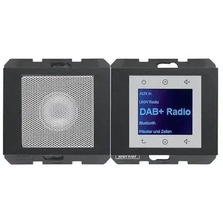 Berker 29807006 Radio Touch mit DAB+ K.x anthrazit