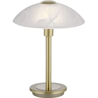 Paul Neuhaus Enova Braun 1 Stk.