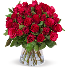 50 rote Rosen  (40-50cm)