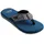 Blau 42