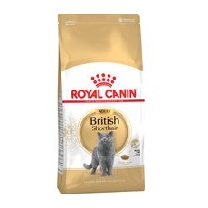 2kg British Shorthair Adult Royal Canin hrană uscată pentru pisici