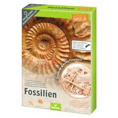 Bild moses. Expedition Natur - Fossilien,