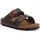 ARIZONA BS 52533 dunkel-braun - Pantolette für Damen