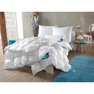 Haeussling »Hygge Home, Bettdecken für Sommer und Winter, Ganzjahresdecke, Decke« normal Füllung: weisseneue90Daunenund10FedernKl1 1 Stk. tlg. Bettdecke 135x200 cm, 155x220 cm & weitere Größen,