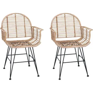 vidaXL Esszimmerstuhl 2 stk. Rattan und Eisen Natur 57 x 55 x 85 cm - Braun