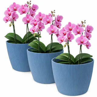 TULMERO Blumentopf matt, Pflanzkübel aus Übertopf Kunststoff Dekorativer Topf für, groß Pflanzen 3X blumenkübel Set, blumenkübel kräutertopf, (3 Pack) Marine, ø 19 cm