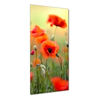 Wallario selbstklebende Duschrückwand 70 x 190 cm mit Motiv Mohnblumenblüten - Wandverkleidung mit Hochglanzlaminat in Glasoptik