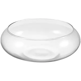 DOITOOL Glas Pflanztopf 9 Zoll Transparenter Sukkulententopf Für Hydrokultur Luftpflanzen Und Bonsai Moderner Blumentopf Zur Dekoration Von Zuhause Garten Und Büro