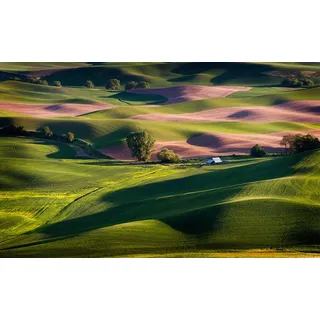 Papermoon "Landschaft", bunt,
