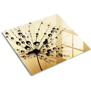 Tulup Glasplatte 60x52 cm Löwenzahn , Beige , Glas , 60x0.4x52 cm , Küchen, Küchenelektrogeräte, Herde, Herdabdeckplatten