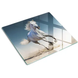 Tulup Glasplatte 60x52 cm Ein graues Pferd im Galopp , Glas , 60x0.4 cm , Bilder & Rahmen, Bilder, Leinwandbilder
