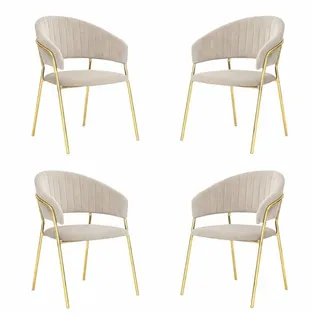 Stühle - Esszimmer Set Ab 4 Aurelia Mit Zurück Samt Grau Turteltaube