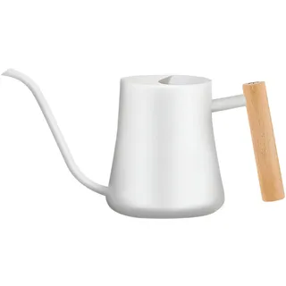 LanQii 1L Gießkanne, Indoor Giesskanne Edelstahl Gießkanne, 35oz Gartengießkanne für Pflanzen im Innen- und Außenbereich, Bonsai mit langem Ausguss und Holzgriff, Weiß