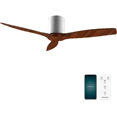 Cecotec - Deckenventilatoren EnergySilence Aero 5500 Aqua IronDarkWood Connected, Motor DC 40 W, Wi-Fi-Steuerung, Innen- und Außenanwendung, 3 Flügel, 6 Auswahl, Metalisch und Dunkelbraun