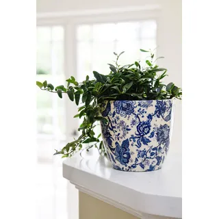 Ivyline 16 x 16 x 16 cm Blau