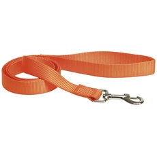 CHAPUIS SELLERIE SLA143 Hunde- und Katzenleine - Nylongurt orange - Breite 10 mm - Länge 1,20 m - Größe XS