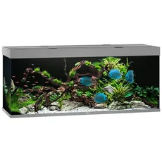 Bild Juwel Rio 450 LED, grau,