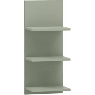 Schildmeyer Wandregal 30,3 x 17,4 x 70,2 cm Grün
