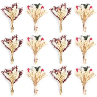 Set aus 12 Mini Trockenblumen zur Dekoration
