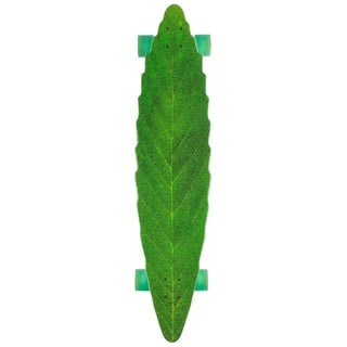 Habitat Unisex-Erwachsene Leafline Green Longboard, Skateboard, Grün, One Size