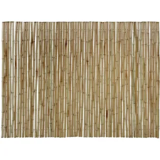 Floraworld Sichtschutz Bambusmatte Gala 150 cm x 300 cm Bambus Hell