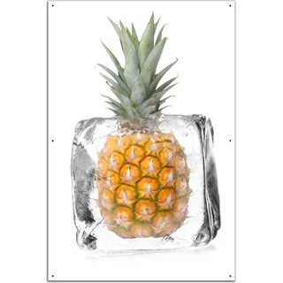 Wallario Outdoor-Poster für Garten oder Balkon, Motiv Ananas in Eiswürfel - Eiskaltes Obst, in ca. 61 x 91,50 cm - Weiß