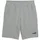 ESS No 1 Logo Sportshorts Grau L