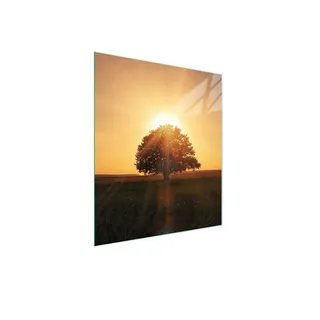 Glasschneidebrett 45x52 cm, Herdschutzplatte & Spritzschutz, Baum-Design, gehärtetes Glas