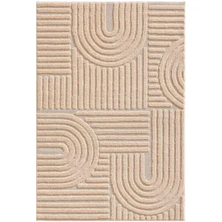 Ayyildiz Hochflorteppich »ART Rosa ca. 280x370cm