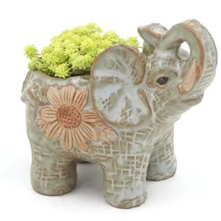 duojin Keramik Topf Elefanten Kaktus Sukkulenten Pflanze Topf Blumen Pflanzer Mini Garten