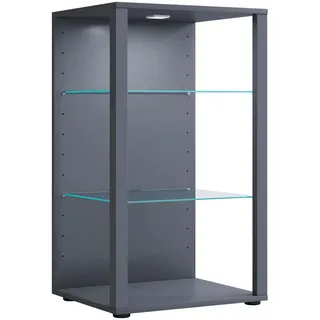 VCM Standvitrine Glasol 52 x 44 x 90 cm Anthrazit