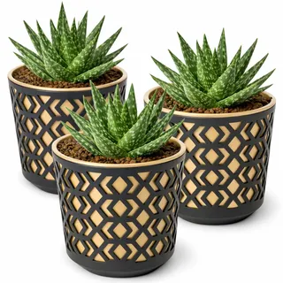 PECZEKO Matte Blumentöpfe - Deko Pflanztopf für Blumen & Kräuter - Langlebige & leichte runde Kunststoff-Pflanzentöpfe für Wohn- & Esszimmer, Küche, Balkon - 3er-Set - (Schwarz/Golden, ø 19 cm)