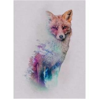 KOMAR Wandbild Animals Fox 30 x 40 cm
