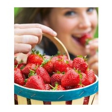 Erdbeere 'Hummi® Süße Brumme'