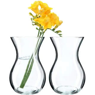 KADAX 2 Stück Blumenvase, 18cm Vase aus Glas, ⌀8cm Glasblumenvase mit einem 11cm Hals, Durchsichtige Tischvase, Klarglasvase, Glasvase für Blumen, Dekovase für Wohnzimmer (2 Stück)