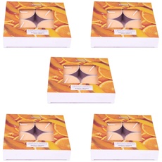 pajoma Maxi Teelichte Mango-Orange, 20er Pack (5 x 4er Pack Maxi Teelichte)
