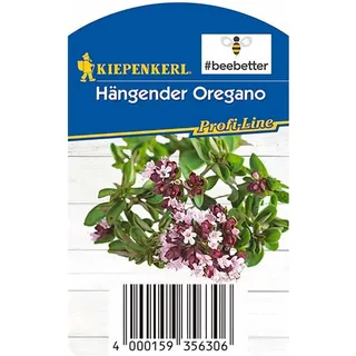 Kiepenkerl Oregano hängend beebetter Topf-Ø ca. 12 cm