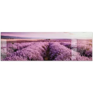 timalo Küchenbild aus Acrylglas modernes Wandbild Glasbild Deko Küche XXL Bild wie Glas | 160x50cm Lavendelfeld, Provence, lila Blüten, Sonnenuntergang, Natur romantische Landschaft