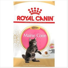 Bild von Kitten Maine Coon 4 kg