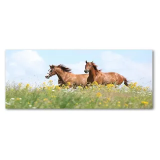 Tulup® Küchenrückwand Spritzschutz aus Glas -125x50 -Spritzschutz auf gehärtetes Glas Deko Tiere Zwei Pferde Galopp