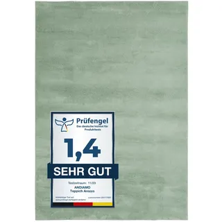 andiamo Teppich Arezzo waschbar Wohnzimmer Esszimmer pflegeleichter eleganter gemütlicher Wohnzimmerteppich Fellteppich einfarbig 160 x 230 cm salbeigrün