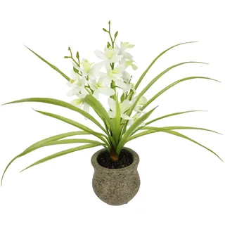 I.GE.A. Kunstblume "Kunstblume Schmetterling Orchidee mit Keramiktopf" Mit Blätter Luftwurzeln Blume Kunstorchidee Phalaenopsis Kunstpflanze, weiß