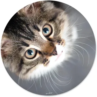 Mauspad mit Katzen-Motiv I Ø 22 cm rund I Mousepad in Standard-Größe, rutschfest I für Mädchen Teenager Frauen I Katzenblick I dv421
