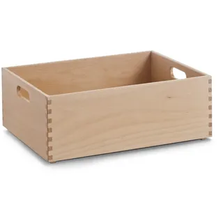 Zeller Aufbewahrungskiste 40 x 30 x 15 cm 1-tlg. beige