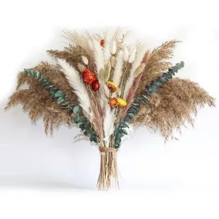 Ibenzoa® 100-teiliges Deko-Set mit Pampasgras, Eukalyptus und Trockenblumen – Beige/Braun, Boho-Tischdeko für Vasen, Kränze & Wanddeko - Braun